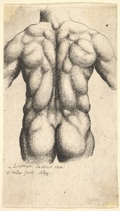 Nagi męski tors widziany z tyłu, 1645. autorstwa Wenceslaus Hollar