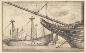 Holenderski Hindus Zachodni, 1647 autorstwa Wenceslaus Hollar