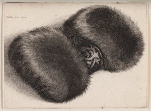  autorstwa Wenceslaus Hollar