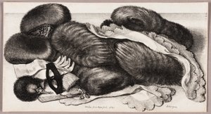 Martwa natura z grupą mufków, parą rękawiczek i dwiema chustkami autorstwa Wenceslaus Hollar
