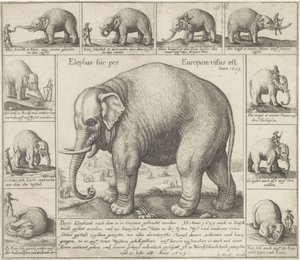 Oni też pachną W Europie widziano słonia (tytuł na obiekcie) autorstwa Wenceslaus Hollar
