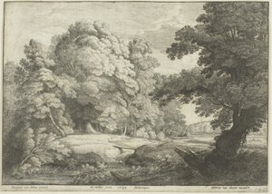Most nad wodospadem autorstwa Wenceslaus Hollar