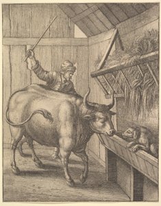 Pies w żłobie z ilustracji do sopics: Or A Second Collection..., 1666 Johna Ogilbysa. autorstwa Wenceslaus Hollar