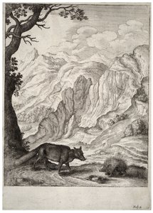 Lis i jeżozwierz. Stan 2 autorstwa Wenceslaus Hollar