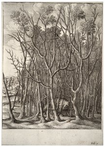Lis i cierniowy krzew. Stan 2 autorstwa Wenceslaus Hollar
