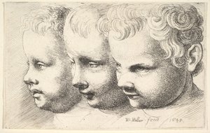 Trzy głowy dzieci autorstwa Wenceslaus Hollar