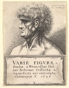 Strona tytułowa do Różnorodności figur i sond, 1645 autorstwa Wenceslaus Hollar