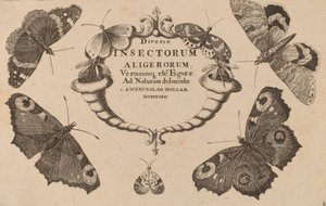 Strona tytułowa. autorstwa Wenceslaus Hollar