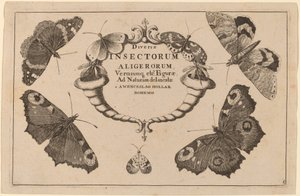 Strona tytułowa autorstwa Wenceslaus Hollar