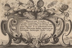 Strona tytułowa, 1646. autorstwa Wenceslaus Hollar