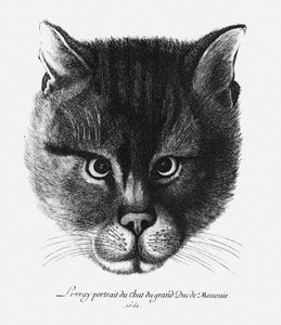 Prawdziwy obraz kota cara Aleksego I Michajłowicza Rosji autorstwa Wenceslaus Hollar