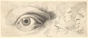 Dwoje oczu i dwie głowy, 1644-52. autorstwa Wenceslaus Hollar