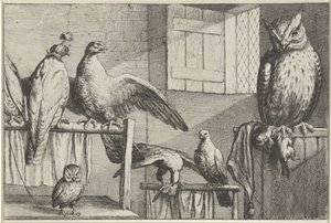 Sokoły i sowy w stodole Gatunki Diversae avium (tytuł serii) Różne ptaki (tytuł serii) autorstwa Wenceslaus Hollar