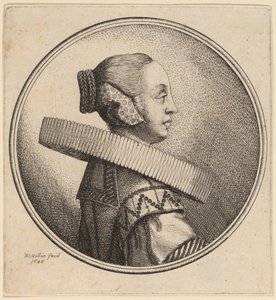 Kobieta z kryzą w profilu autorstwa Wenceslaus Hollar