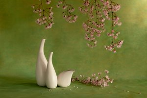  autorstwa Wendy Xu