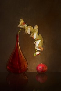  autorstwa Wendy Xu