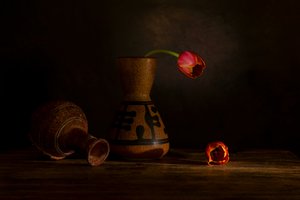  autorstwa Wendy Xu