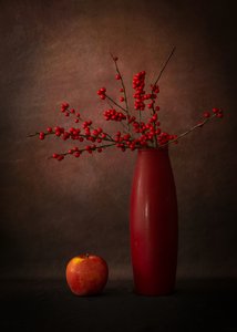  autorstwa Wendy Xu