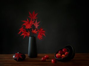  autorstwa Wendy Xu