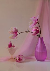  autorstwa Wendy Xu