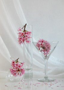  autorstwa Wendy Xu