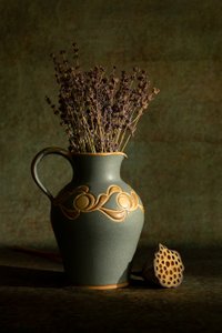  autorstwa Wendy Xu