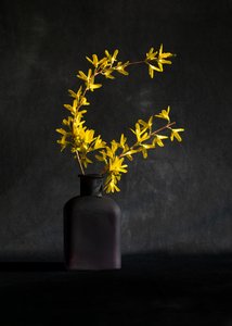  autorstwa Wendy Xu