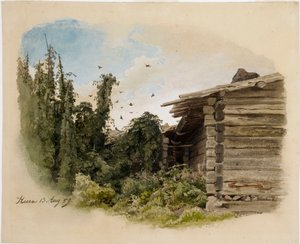 Bez tytułu
