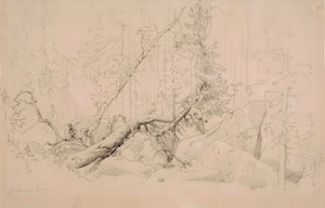 Bez tytułu autorstwa Werner Holmberg