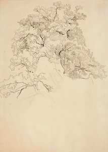  autorstwa Werner Holmberg