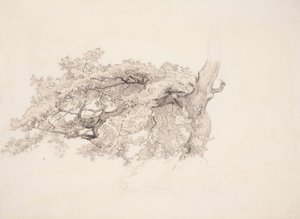  autorstwa Werner Holmberg