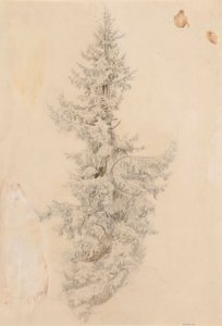  autorstwa Werner Holmberg