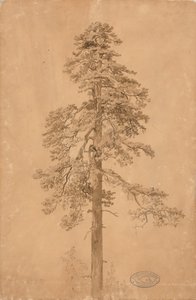  autorstwa Werner Holmberg