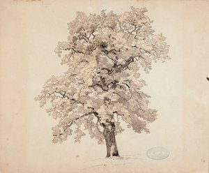  autorstwa Werner Holmberg
