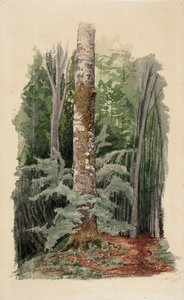 autorstwa Werner Holmberg