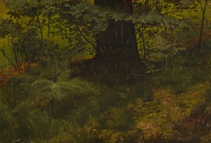 Bez tytułu