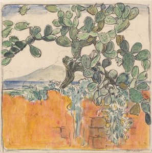 Widok z kaktusem na Wezuwiusz z Sorrento