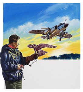Lot sokoła (gwasz na papierze) autorstwa Wilf (20th century) Hardy