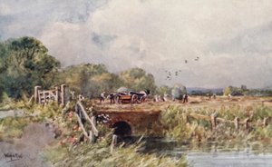 Sianokosy (kolorowa litografia) autorstwa Wilfrid Williams Ball
