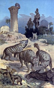 Hyenaspolish autorstwa Wilhelm Kuhnert