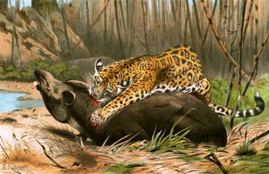 Jaguar zabija tapir autorstwa Wilhelm Kuhnert
