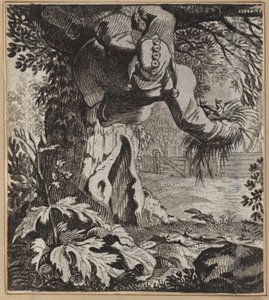 Zuchwały głupiec autorstwa Wilhelm Stettler