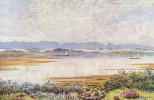 W Lakeside, patrząc na południowy wschód (kolorowa litografia)