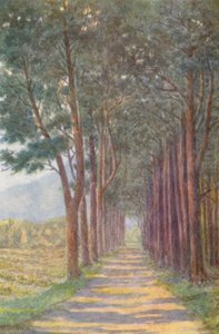 Aleja Jodłowa, "Alphen" (litografia kolorowa)