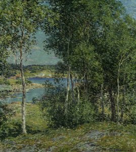 Rodzina brzóz, 1907.