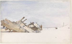 Wrak drewna na plaży Renesse w Schouwen-Duiveland