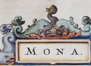 Delfiny, fronton w stylu Roquaille. Szczegół Atlas di W. Blaeu, Amsterdam 1650. autorstwa Willem Blaeu