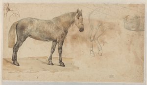 Studia konia autorstwa Willem Carel Nakken