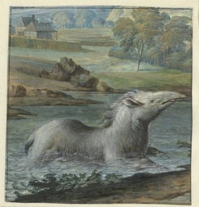 Tapir w wodzie autorstwa Willem Hendrik Wilhelmus van Royen