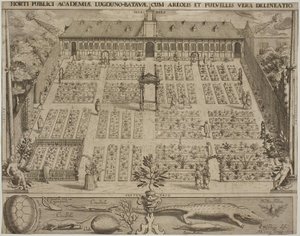 Ogród botaniczny w Leyden autorstwa Willem Isaaksz Swanenburgh